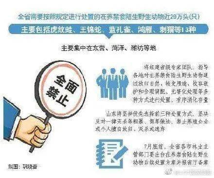 创业 第3页